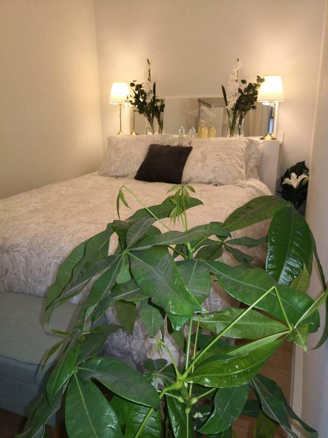 Apartamento Explore From A Warm With Patio At A Newly Refurbished Manorial Building Madri